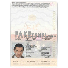 Bulgaria standard passport photoshop template download for Photoshop, editable PSD