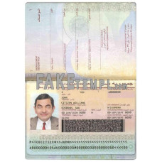 Chad (République du Tchad) fake standard passport photoshop template PSD