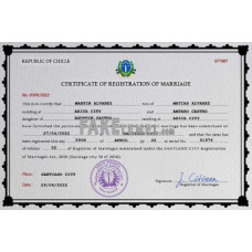 Chile fake marriage certificate photoshop template PSD 