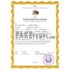 Chile fake marriage certificate Word and PDF template