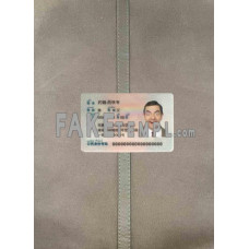 China fake identity card photolook template PSD,scan and photo-realistic look