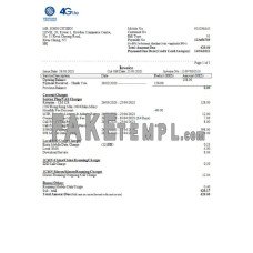 China Mobile Limited payment fake Invoice Word and PDF template