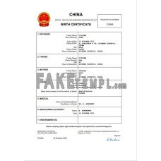 China fake birth certificate Word and PDF template