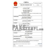 China vital record fake death certificate Word and PDF template