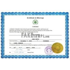 Comoros fake marriage certificate Word and PDF template