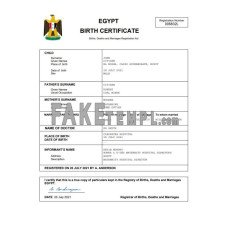 Egypt fake birth certificate Word and PDF template