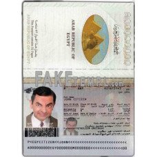 Egypt fake passport photoshop template PSD