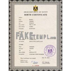 Egypt fake vital record birth certificate photoshop template PSD 