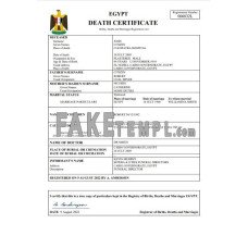 Egypt vital record fake death certificate Word and PDF template