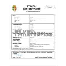 Ethiopia vital record fake birth certificate Word and PDF template