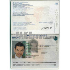 France fake passport photoshop template PSD