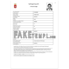 Georgia fake e-visa travel visa Word and PDF template