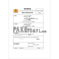 Georgia vital record fake birth certificate Word and PDF template