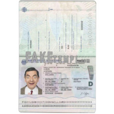 Germany fake passport photoshop template PSD  (2017 – present)