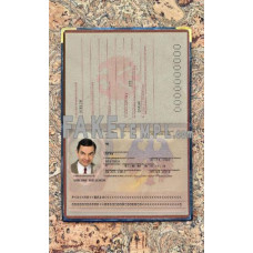 Germany fake passport photolook template PSD, scan and photo-realistic look 2005 - 2017