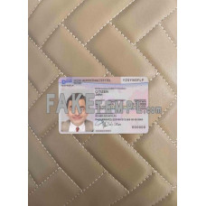 Germany fake residence permit 2011-pres, version 2 photolook template PSD,scan and photo-realistic look