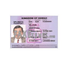 Hawaii fake travel visa photoshop template PSD