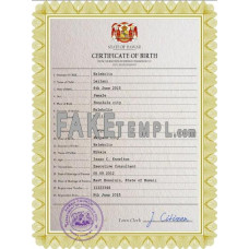 Hawaii fake birth certificate photoshop template PSD 