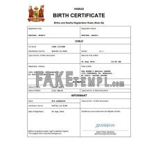 Hawaii fake birth certificate Word and PDF template