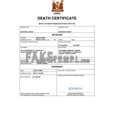 Hawaii fake death certificate Word and PDF template