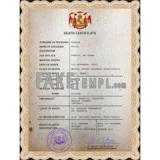 Hawaii fake vital record death photoshop certificate PSD