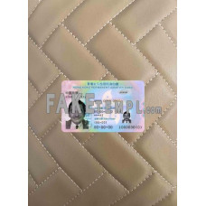 Hong Kong fake ID card 2018 - present photolook template PSD,scan and photo-realistic look