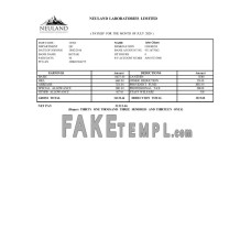 INDIA NEULAND Laboratories Limited fake Word and PDF template