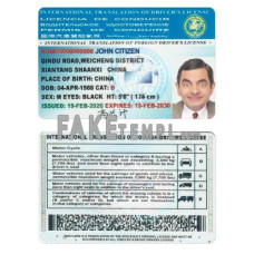 International Translation of fake driving license photoshop template PSD