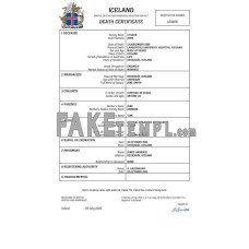 Iceland vital record fake death certificate Word and PDF template