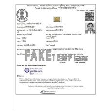 India Government of Punjab Residence fake Certificate template in Word and PDF format