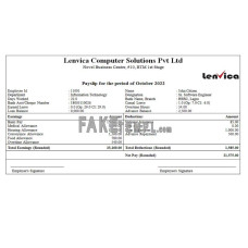 India Lenvica Computer Solutions fake Word and PDF template