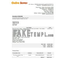 India Online Server company fake Invoice Word and PDF template