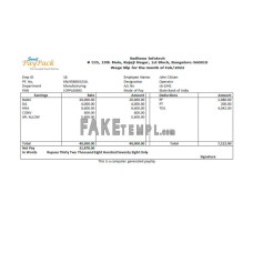 India Sadhana infotech fake pharmaceutical company Word and PDF template