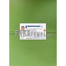 India fake driving license photolook template PSD, scan and photo-realistic look