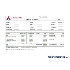 India financal company fake employee sheet  fake pay stub Word and PDF template