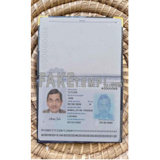 India fake passport photolook template PSD, scan and photo-realistic look