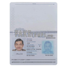 India fake passport photoshop template PSD, 2020 – present