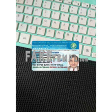 International Translation fake driving license photolook template PSD, scan and photo-realistic look