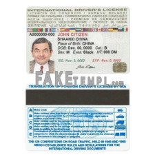 International fake driving license photoshop template PSD