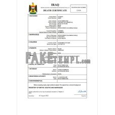 Iraq vital record fake death certificate Word and PDF template