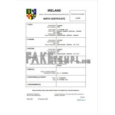 Ireland fake birth certificate Word and PDF template