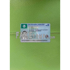 Ireland fake driving license photolook template PSD, scan and photo-realistic look (learner permit) (2022- present)