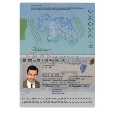 Ireland fake passport photoshop template PSD