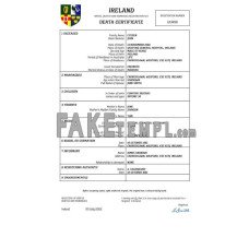 Ireland vital record fake death certificate Word and PDF template