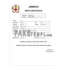 Jamaica vital record fake birth certificate Word and PDF template