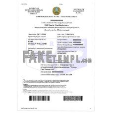 Kazakhstan fake electronic visa photoshop template PSD