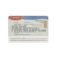 South Korea fake entry visa photoshop template PSD