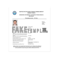 Kyrgyzstan fake electronic visa photoshop template PSD