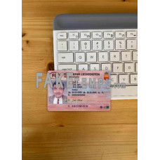 Liechtenstein fake driving license photolook template PSD, scan and photo-realistic look 