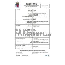 Luxembourg fake death certificate Word and PDF template